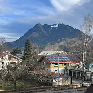 Gruenes Stueble Allgaeuer Alpen Sonthofen